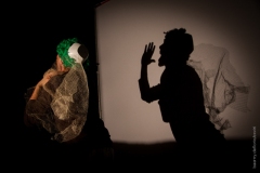 Silviogioia_silviombre_teatro_ombre_mille_e_una_notte_1