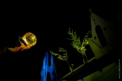 Silviogioia_silviombre_teatro_ombre_mille_e_una_notte_3